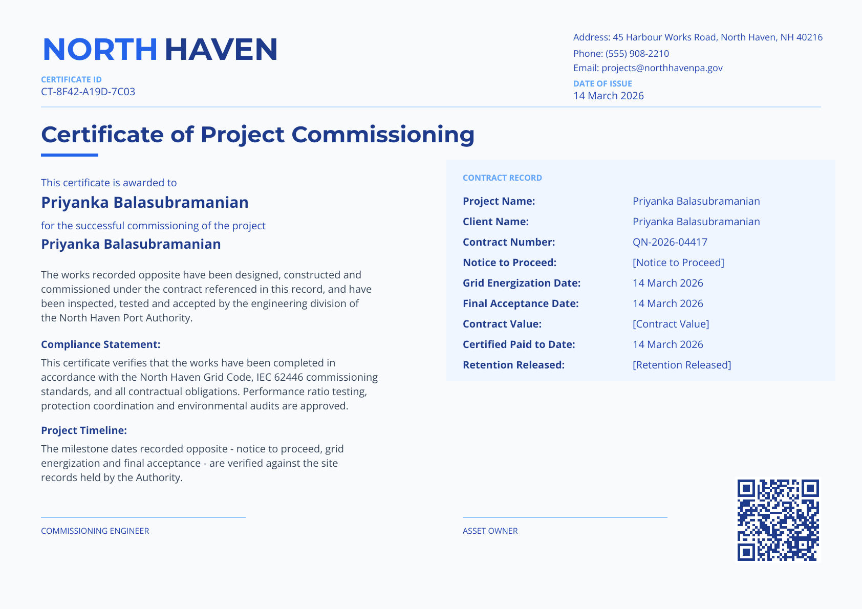 Blue Professional Commissioning